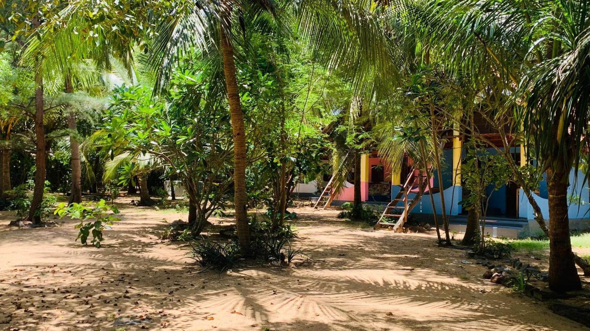 Breezy Beach Cabanas Baía de Arugam Exterior foto